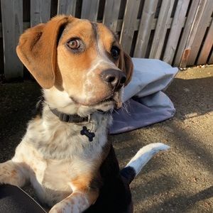 Meet your Posher, Sebastian